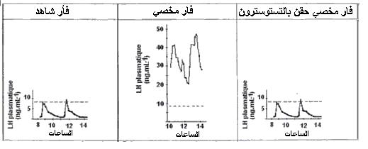 اضغط على الصورة لرؤيتها بالحجم الطبيعي