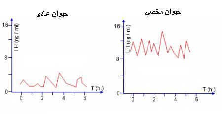 اضغط على الصورة لرؤيتها بالحجم الطبيعي