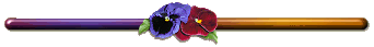 ���� ����