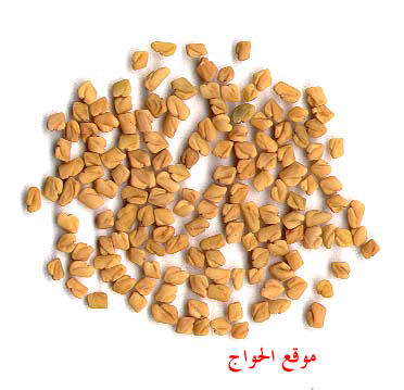 دار