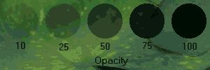 Opacity