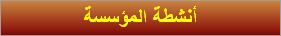 أنشطة المؤسسة