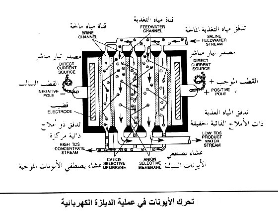 تعليم_الجزائر