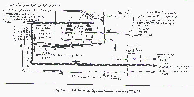 تعليم_الجزائر