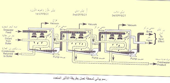 تعليم_الجزائر