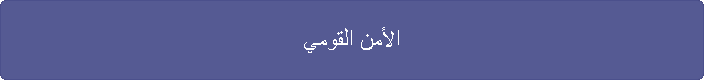 الأمن القومي