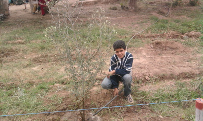 Photo0182.jpg