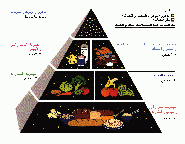  foodgudepyramide.gif